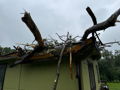 Uzgāzies koks uz jumta